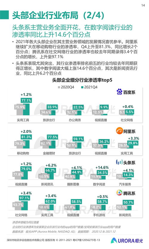 2021年第四季度移動互聯(lián)網行業(yè)數據研究報告 互聯(lián)網數據服務深度分析